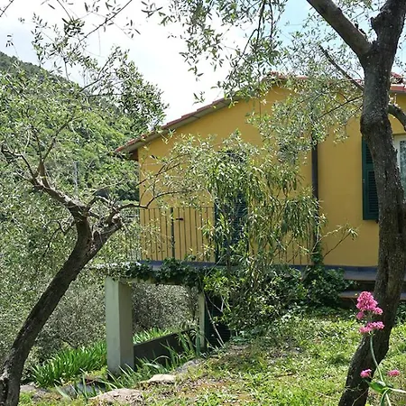 Olivella, Magnifica Vista Collina, Vista Mare A 100 Metri Dalla Casa Дом отдыха *